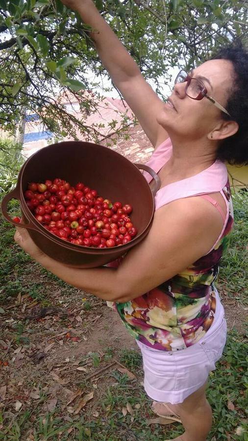 Pousada Vida Simples Paulas 外观 照片